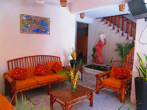 Zihua 3*